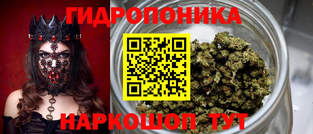 Шишки марихуана план Карпинск